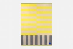 Arthur Arbesser Stripe Throw