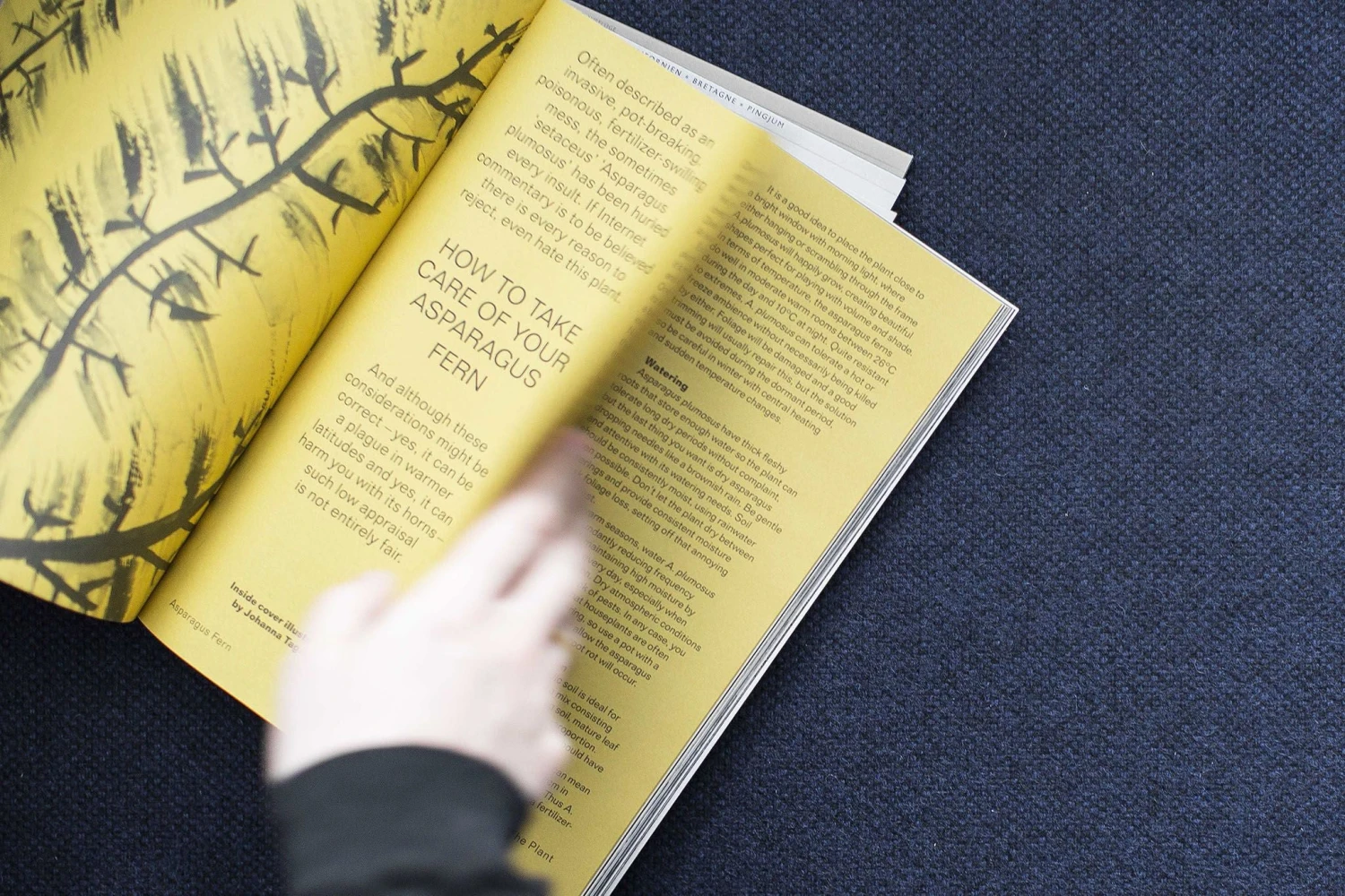 8d3fcefd-cf8e-4f0f-b9b9-0e95e537b125_05c69ae0-245b-4b94-acea-80614e82c856.jpeg Hem Furniture Palo Modular Single-Seater